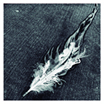 Feather